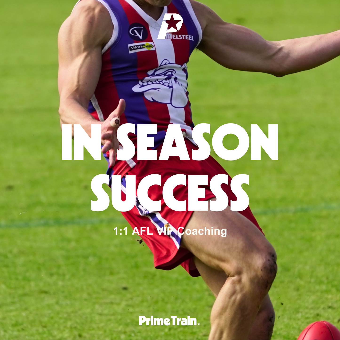 In Season Success