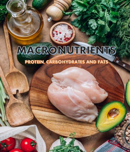 8 Week Personalised Nutrition Guide