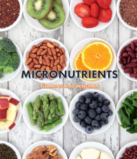 8 Week Personalised Nutrition Guide