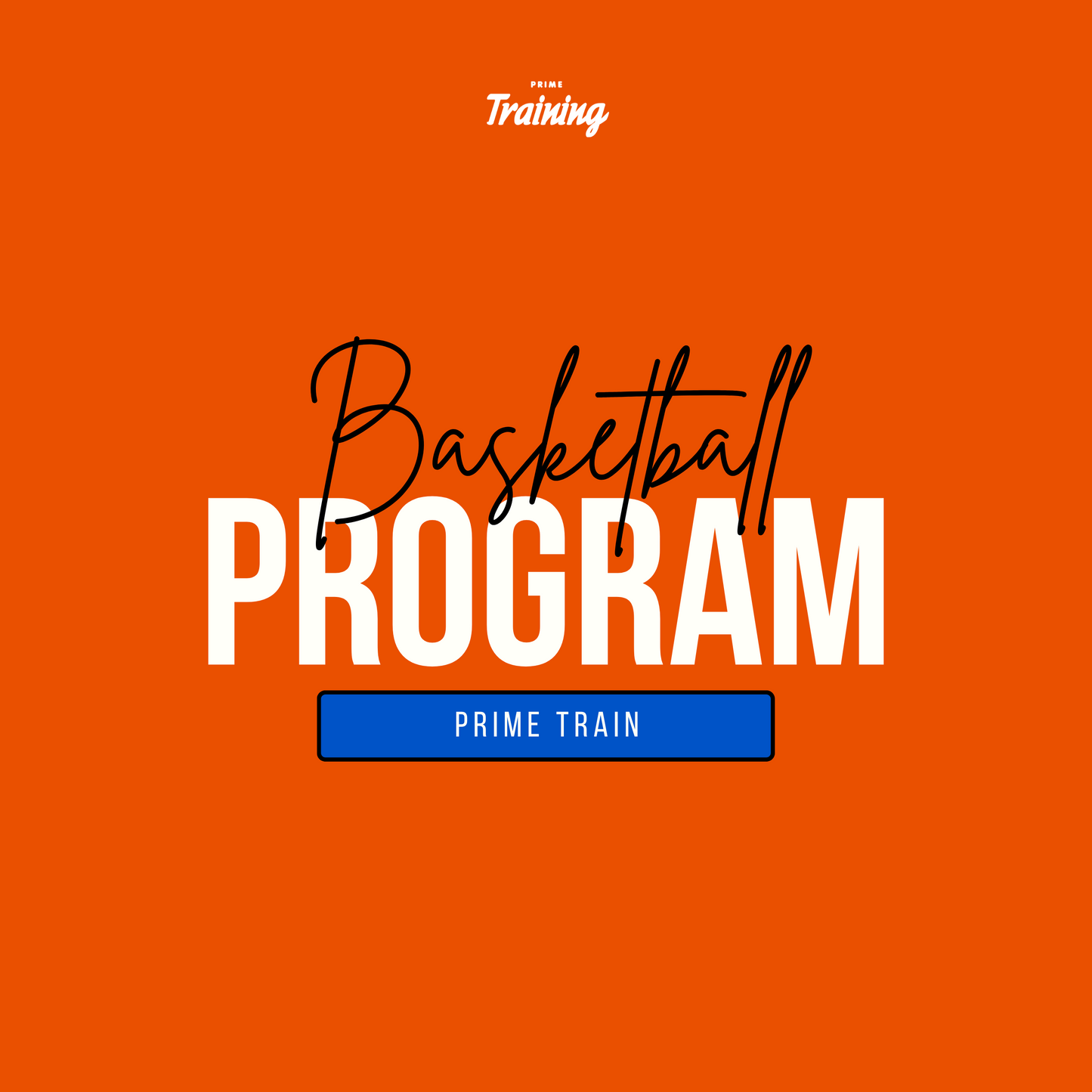 Basketball NBA Program (8 Week)