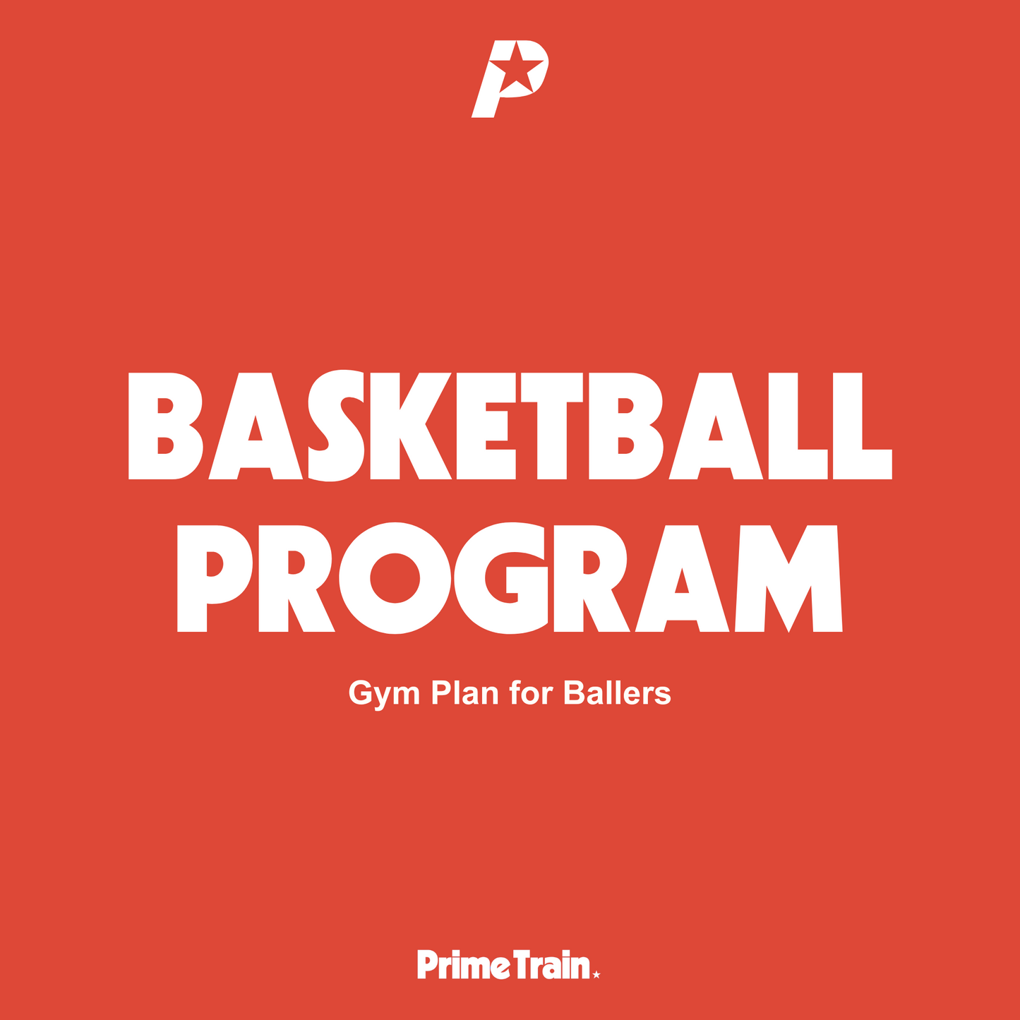 Basketball NBA Program